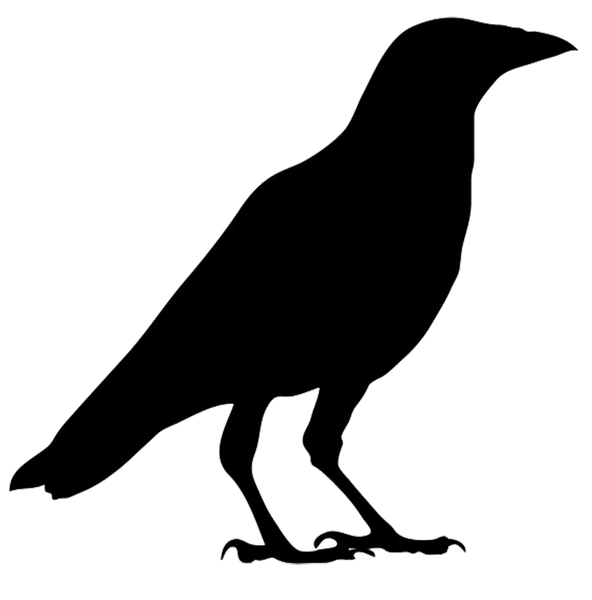 Raven Outline Cliparts Transparent Clip art png images | Clipart.dev